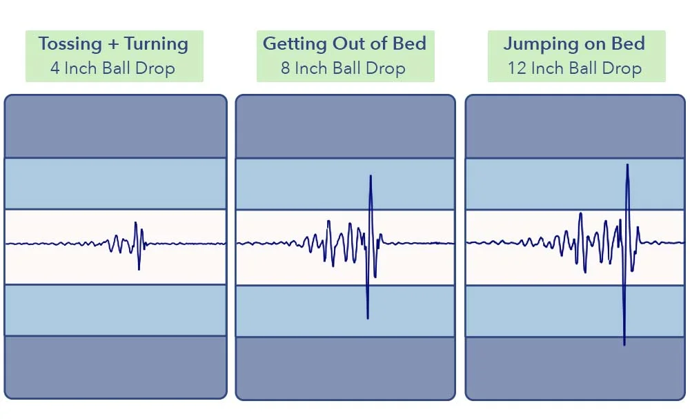 MotionTransfer Tuft NeedleMint