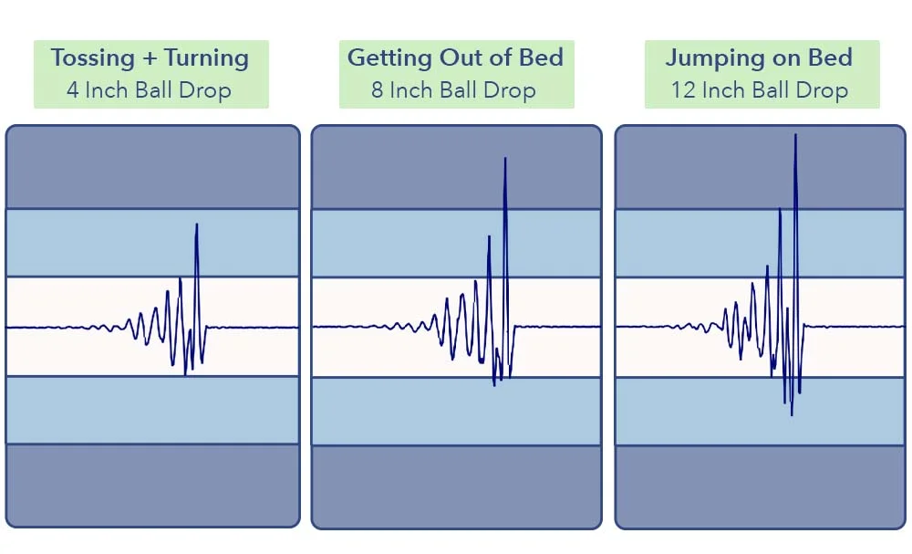 MotionTransfer SweetnightPrime