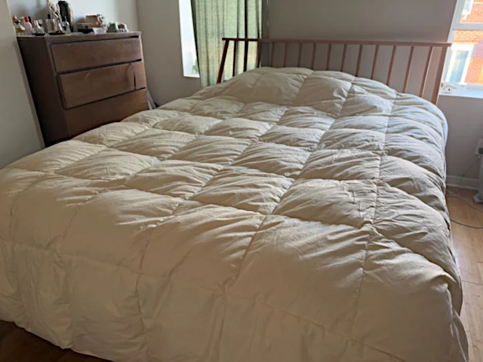 Birch Natural Down Duvet Insert