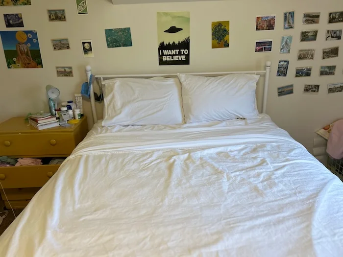 Boll & Branch Flannel Sheets