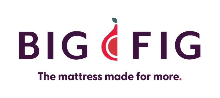 Big Fig logo full color horizontal