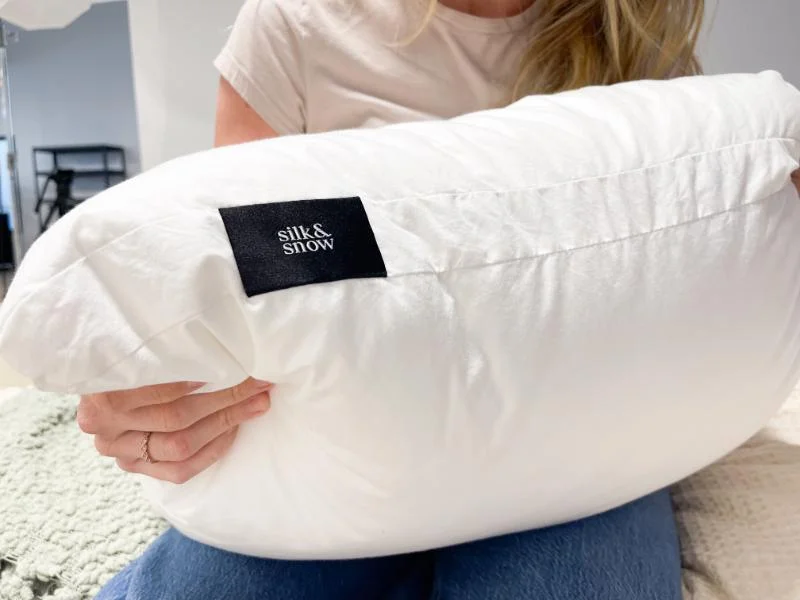 Silk & Snow Pillow
