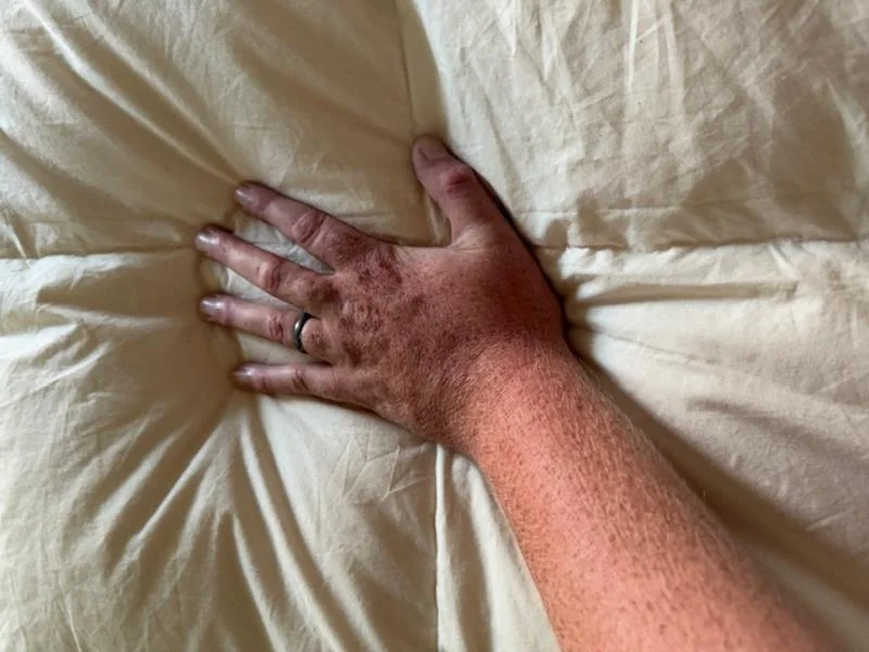 Feeling the Birch Natural Down Duvet Insert