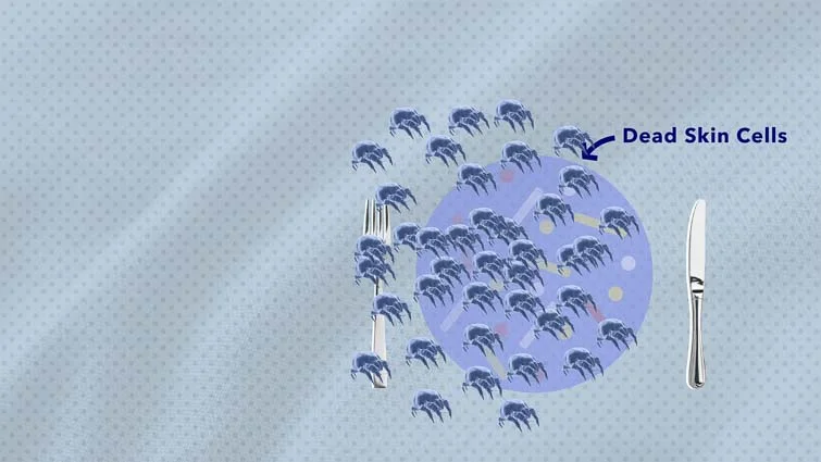 How to clean a mattress