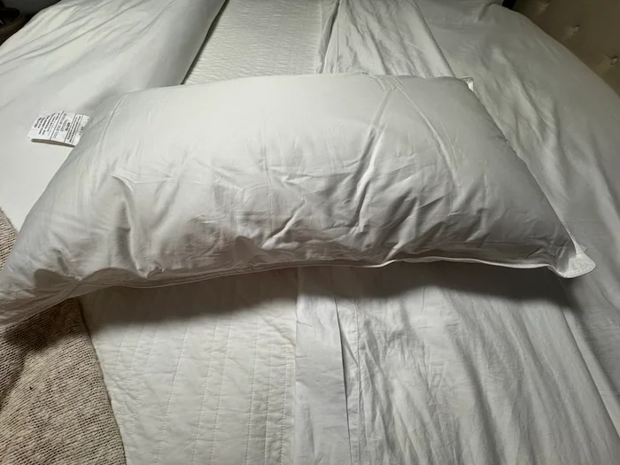 Peacock Alley Down Alternative Pillow