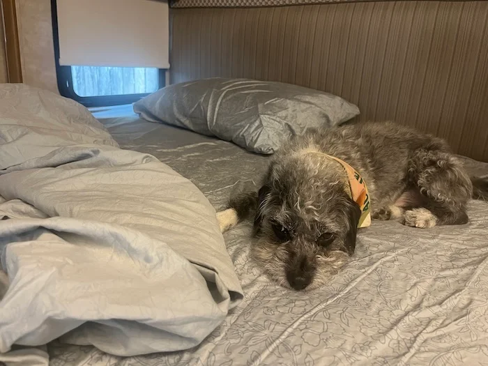 Boll & Branch Signature Hemmed Sheet Set