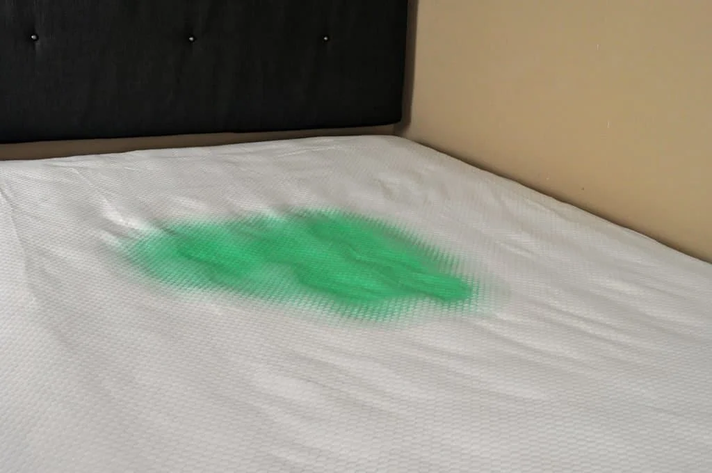 Bear mattress protector test