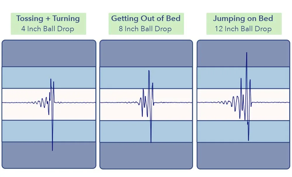 MotionTransfer DouglasSummit
