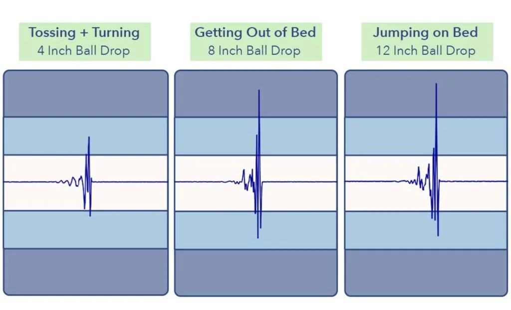 MotionTransfer OctaveVista
