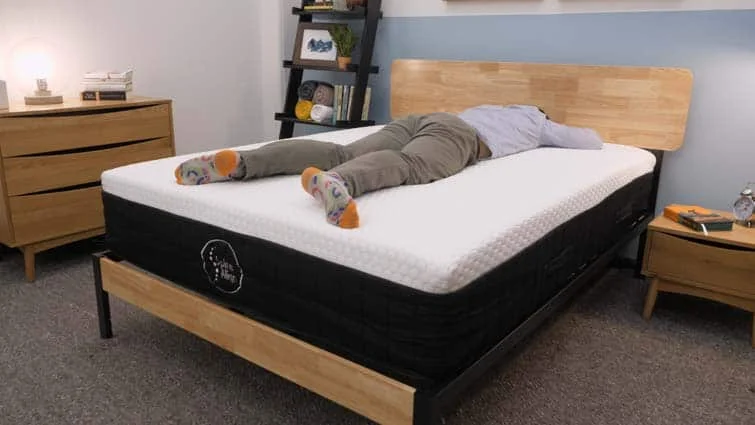 SpineAlign Hybrid Stomach