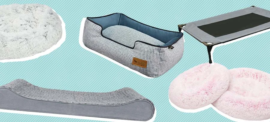 Best Dog Beds