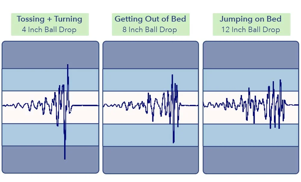 MotionTransfer Silk SnowOrganic