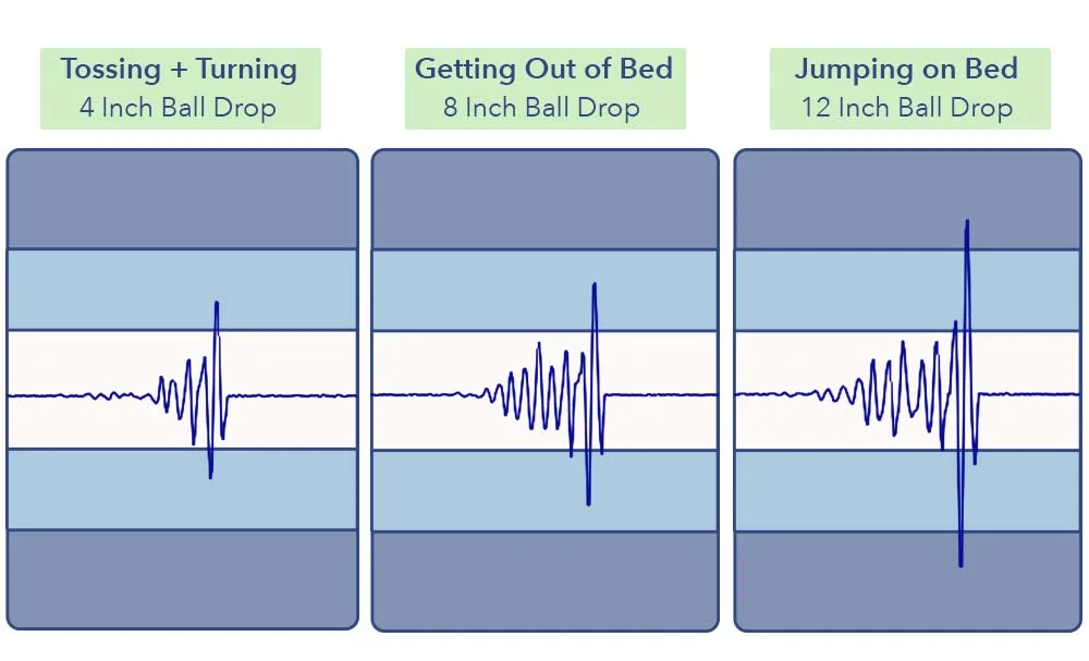 MotionTransfer NolahEvolutionComfort