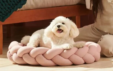 Sustainable Wellness Brand Bearaby Launches Dog Beds