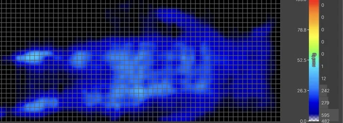 A pressure map graphic for the WinkBed Plus. It shows a thermal image of an average-weight sleeper lying on their back. The map is mostly blue, indicating little to no pressure buildup.