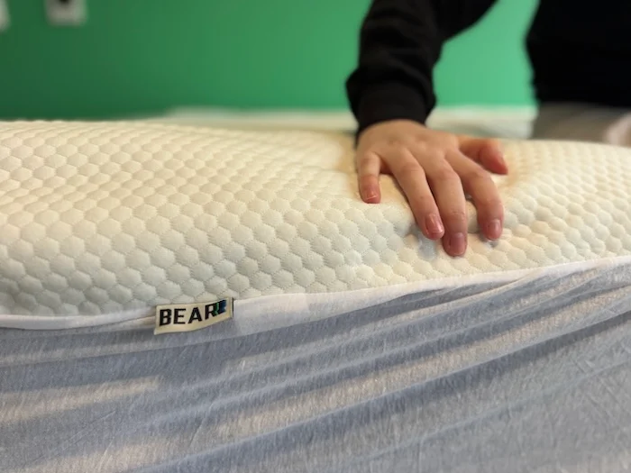 Bear Mattress Protector