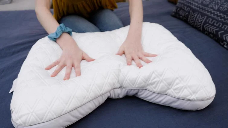 pressing into the bear contour pillow