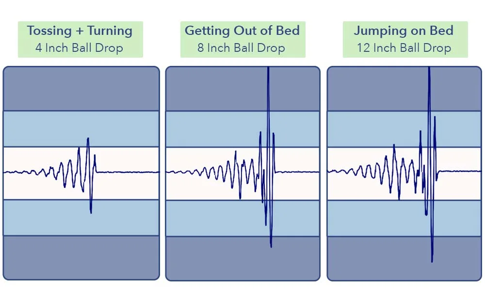 MotionTransfer SaatvaHD