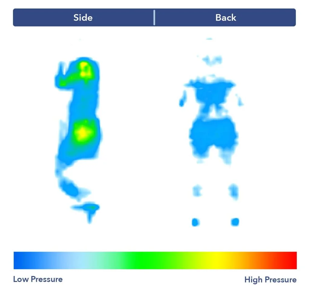 A pressure map graphic of the Saatva Latex Hybrid. Most of the map is blue, but there's a spot of yellow at the shoulders and hips, indicating some pressure buildup.