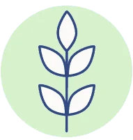 SO_KeetsaiCoilGraphics_2Experience