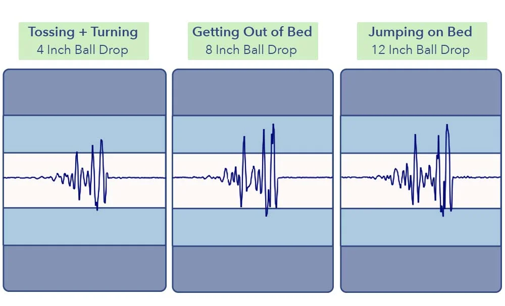 MotionTransfer BearProHybrid