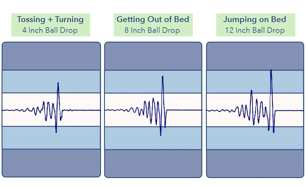 MotionTransfer Leesa Sapira Chill