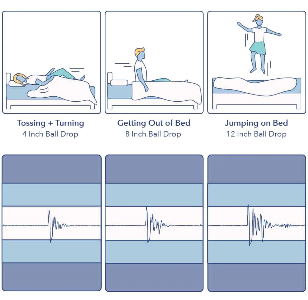 SpineAlign Hybrid Motion Transfer
