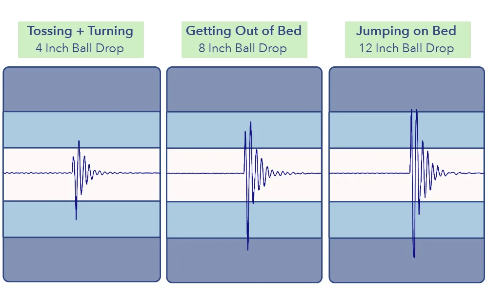 The Spartan's motion transfer results