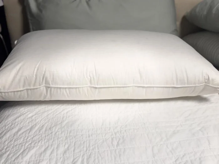 Quince Luxe Goose Down Pillow