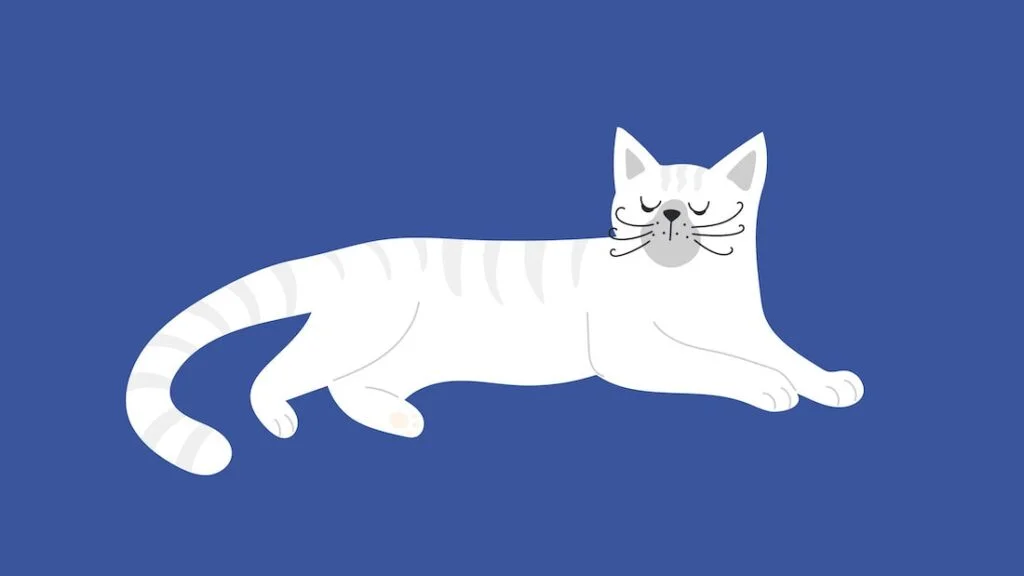 cat sleeping position eyes half open