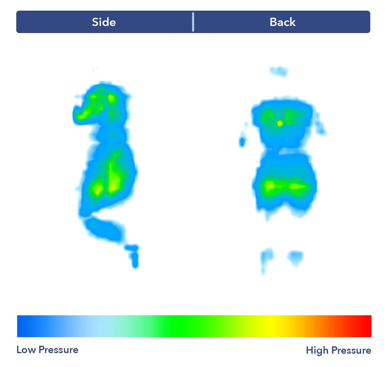 PressureMap AvocadoEcoOrganic