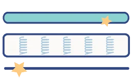 King Koil mattress details