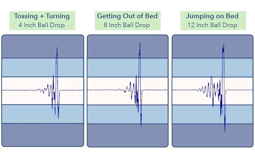 The Nectar Premier's seismometer test results.
