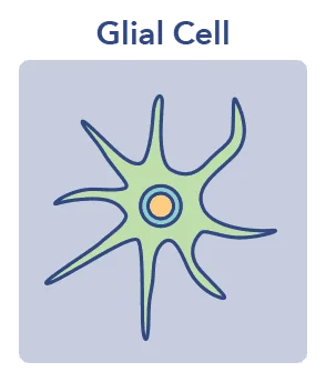 SO N3SleepGraphics Cell