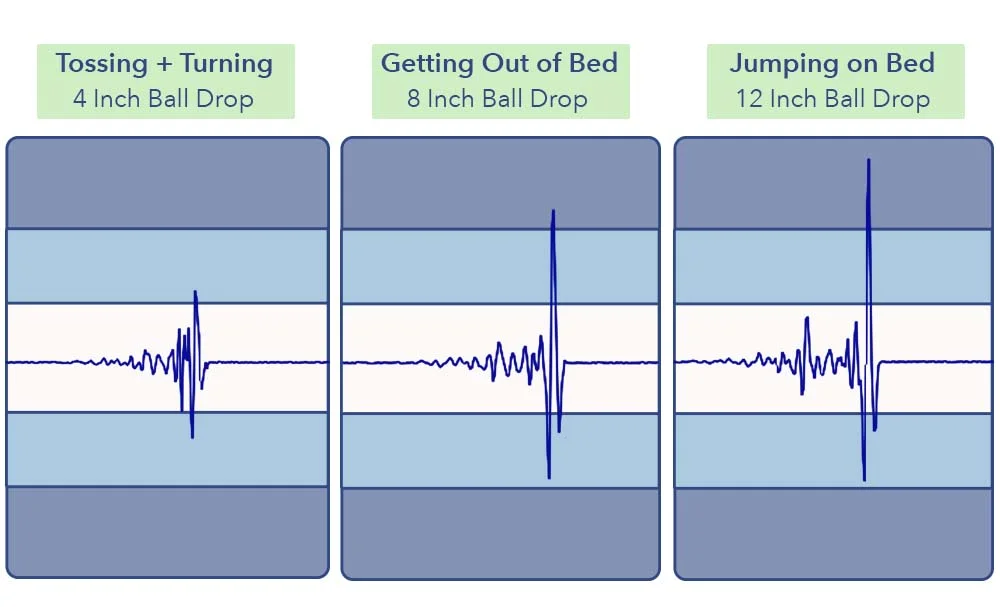 MotionTransfer LoganCoveChoice