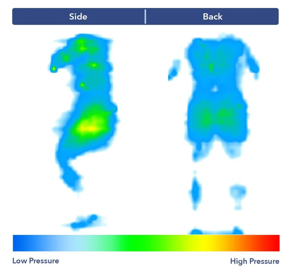 PressureMap NestSparrow