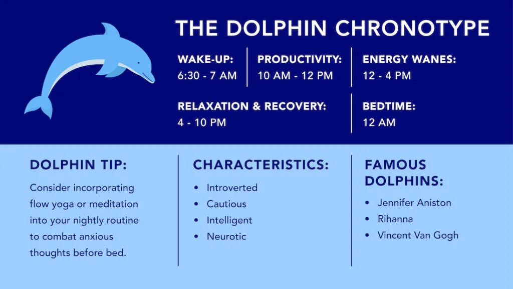 Sleep Chronotype Illustrations V2 10