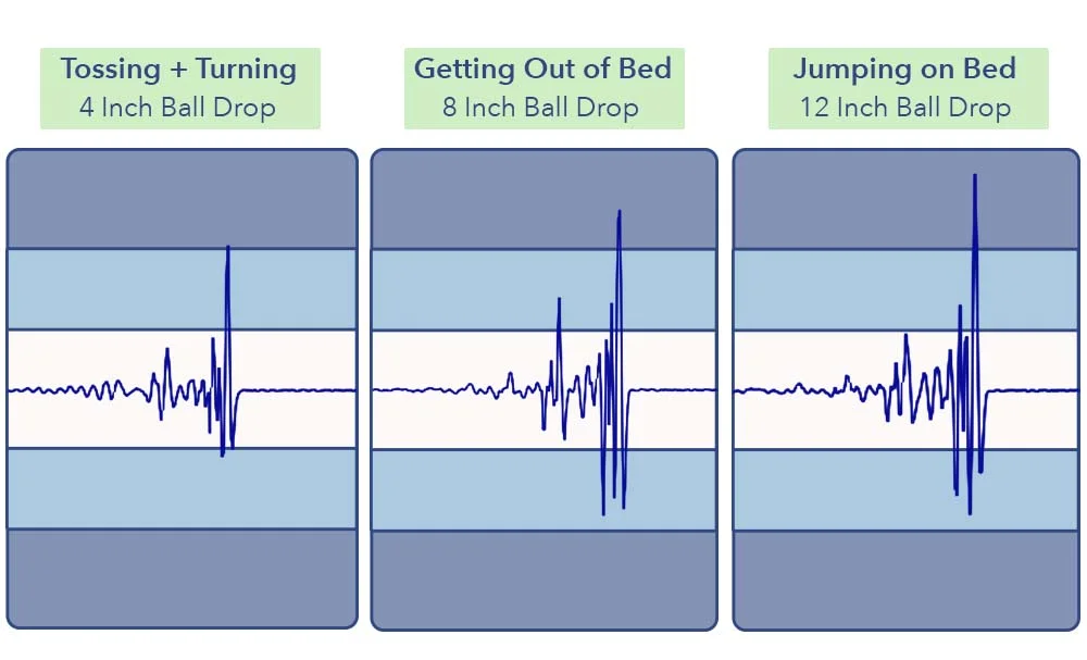 MotionTransfer Plank Firm Natural
