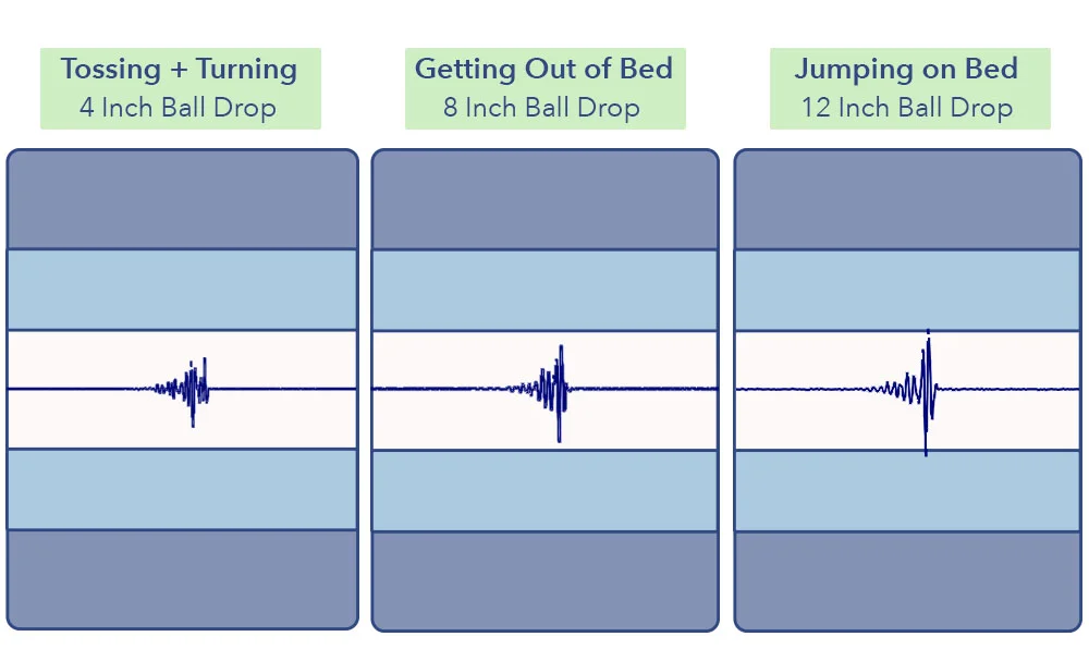 MotionTransfer LeesaHybrid