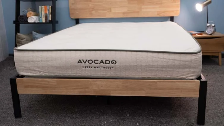 avocado latex mattress