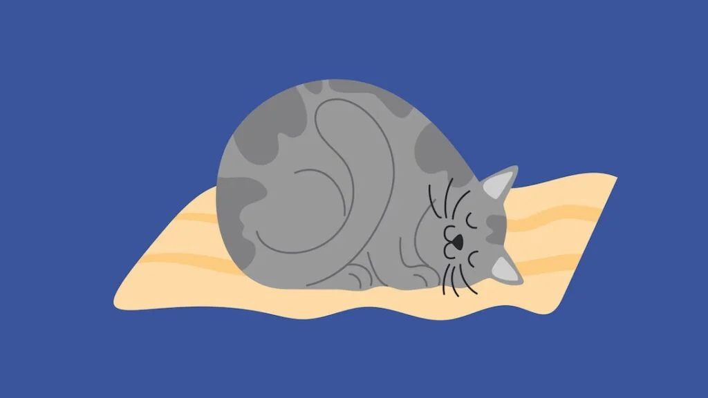 cat crescent position