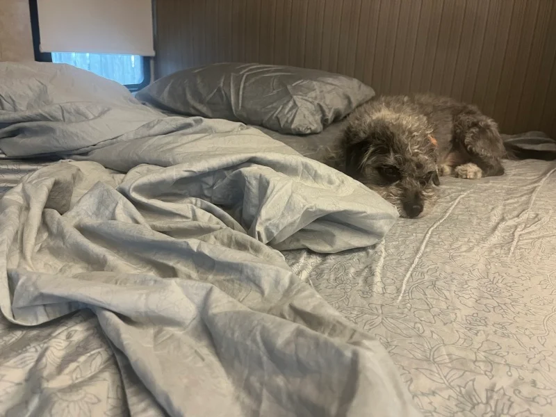 Boll & Branch Signature Hemmed Sheet Set