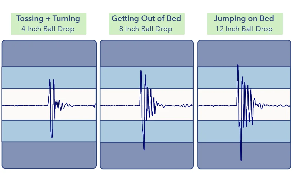 DreamFoam Arctic Dreams Motion Transfer
