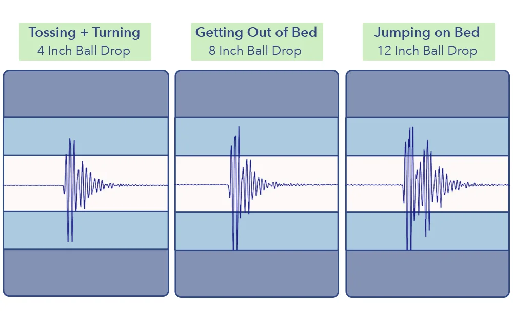 The Luma's motion transfer test results.