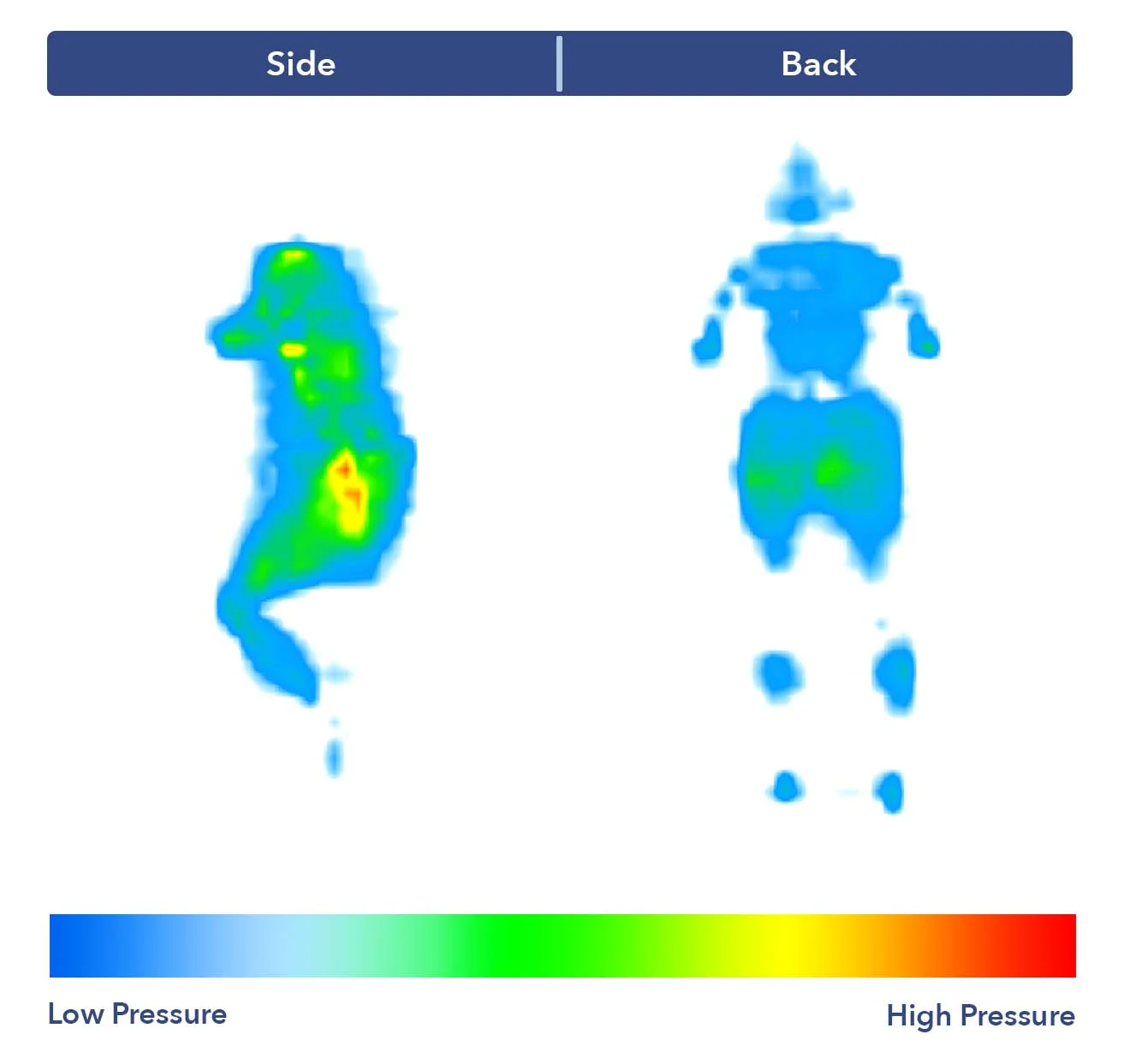 Emma Mattress Pressure Map Results