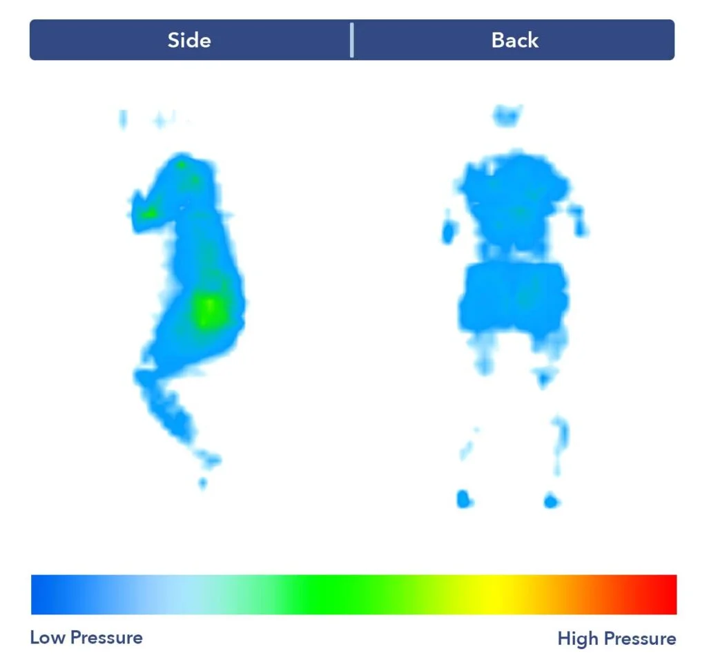 PressureMap BearStarHybrid