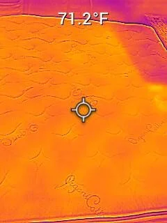 nest owl temp gun 1 rotated