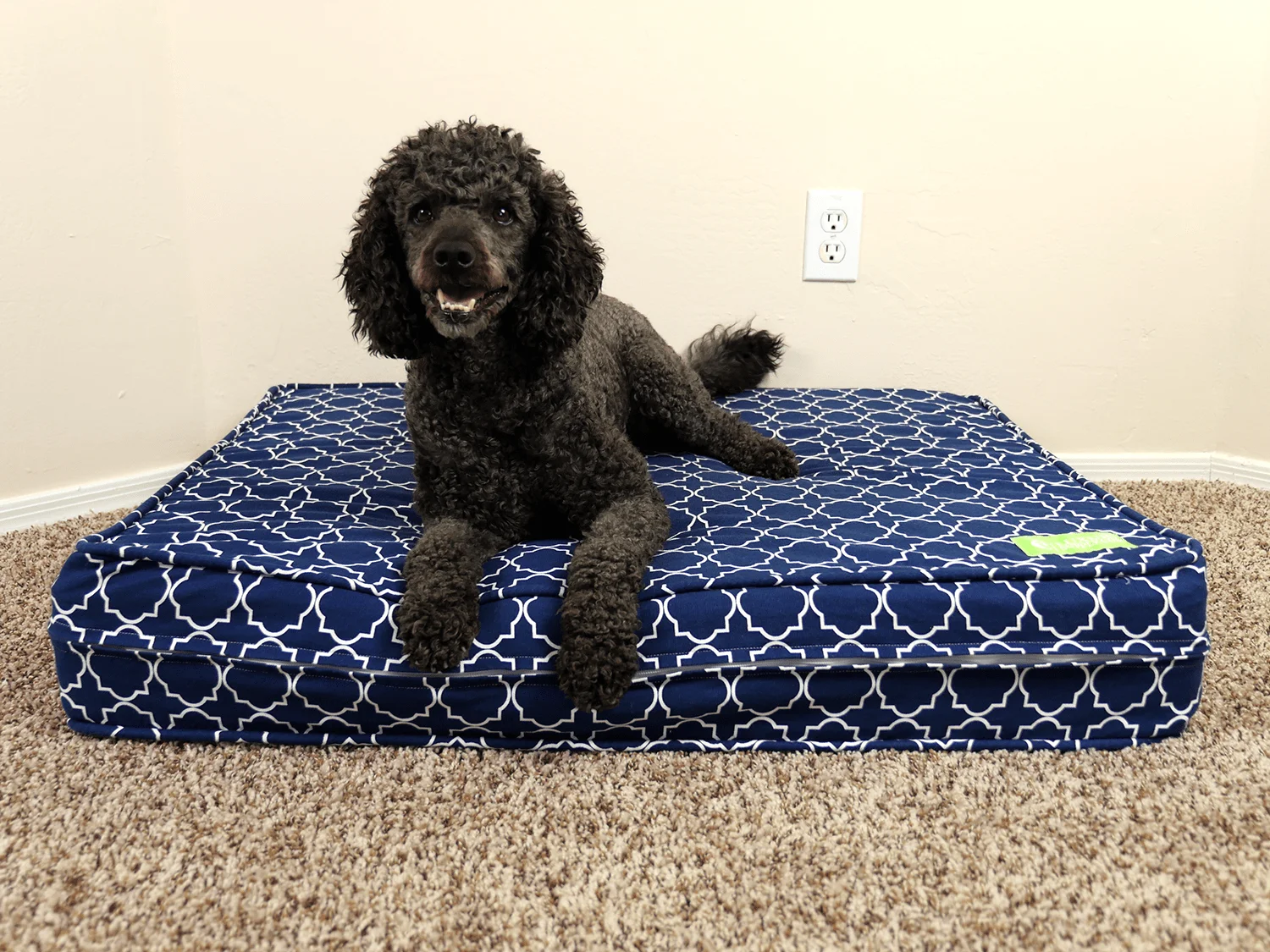 eLuxurySupply Dog Bed Review