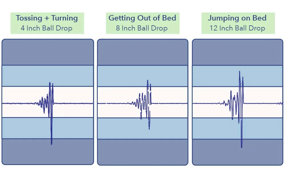 Motion Transfer Results On The Puffy Cloud