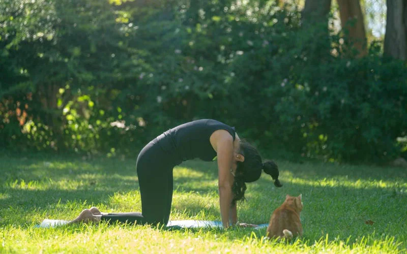 A person does cat-cow outside in the grass